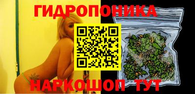 гашик Бердск