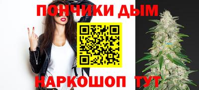 гашик Бердск