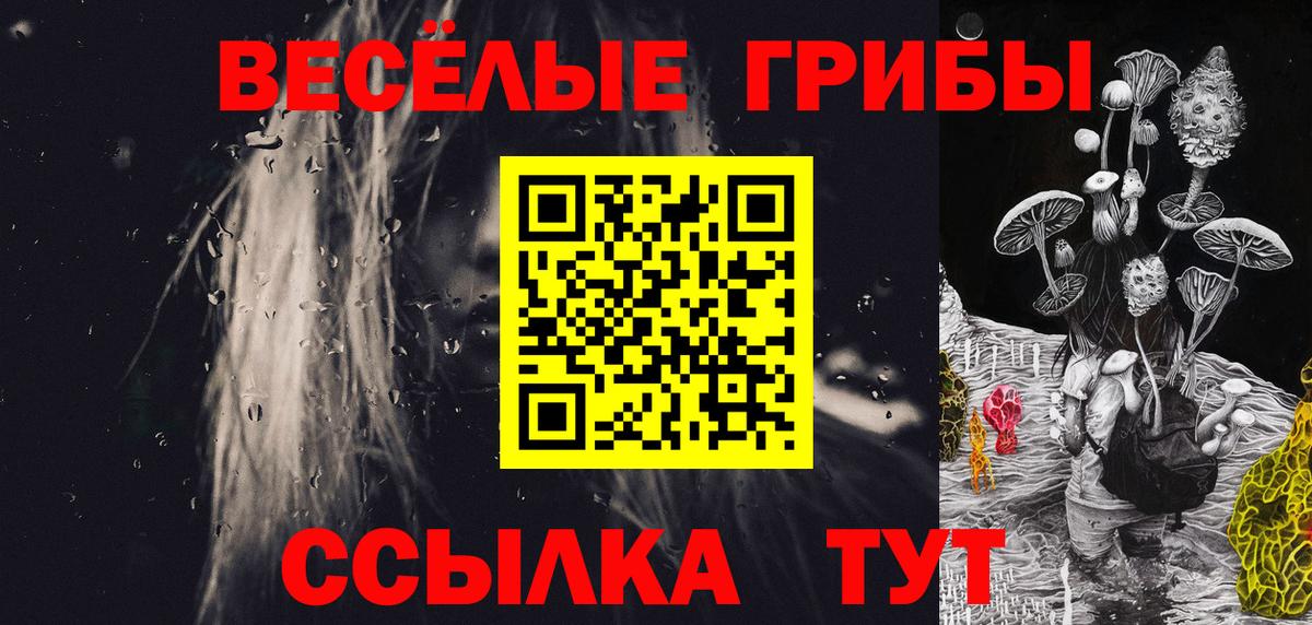 Алексеевка  Псилоцибиновые грибы Magic Shrooms  Вход с VPN 