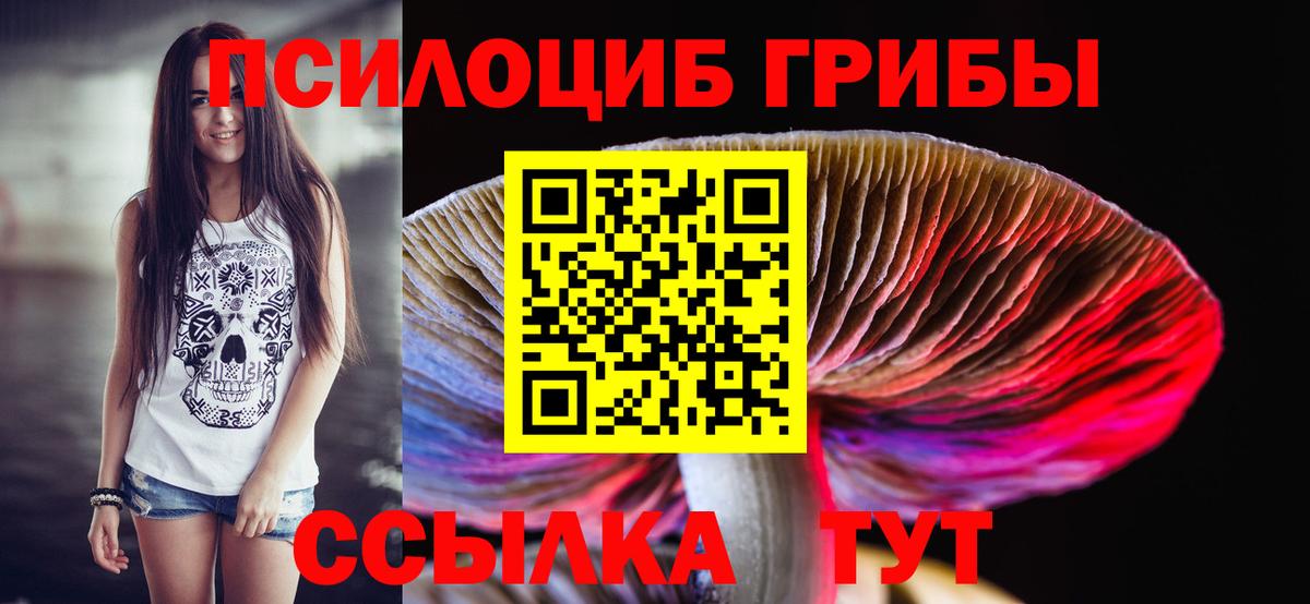 Галлюциногенные грибы Psilocybe Алексеевка